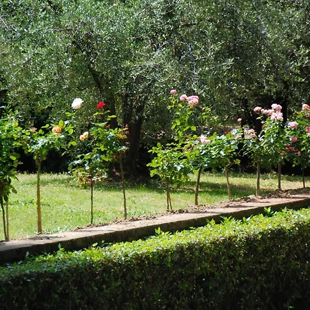 Hotel Gambassi